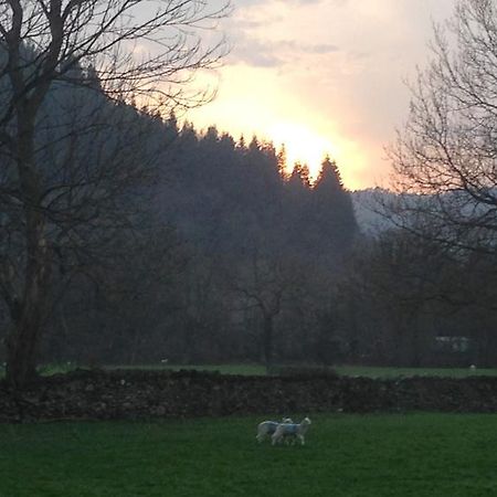 הוילה בטווס אי קואד Tyddyn Bach Barn חדר תמונה