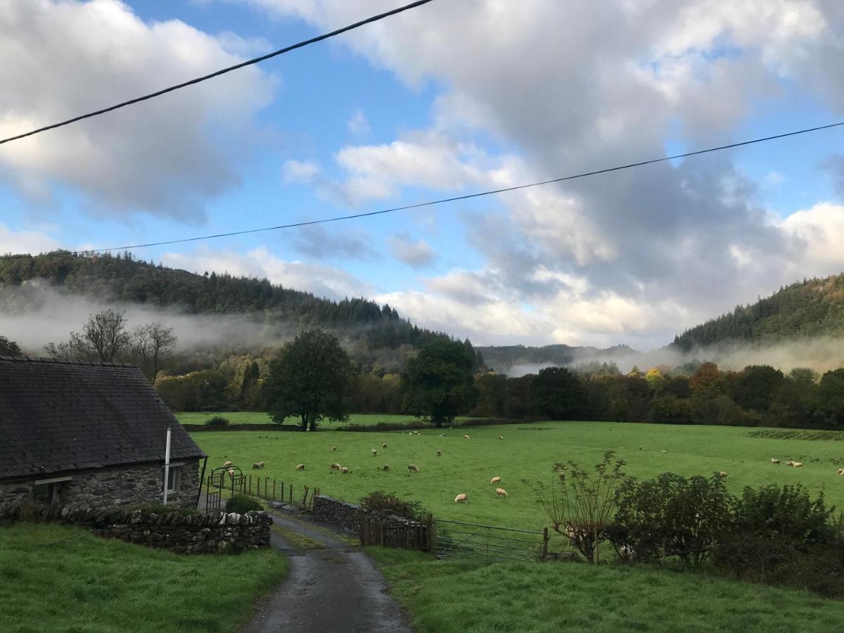 הוילה בטווס אי קואד Tyddyn Bach Barn מראה חיצוני תמונה
